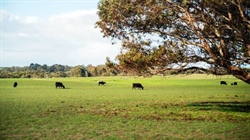 Meningie East property back on market with $6m plus hopes after upgrades