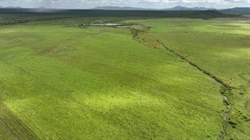 Major cattle property offered walk in, walk out with 2000 breeders | Video