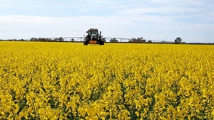 Secure blue ribbon Wimmera cropping country for $4000 an acre