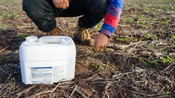 Pest issues worst in years as farmers spend up to $100/ha on slugs, aphids