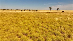 Productive Lorne Station offered with exceptional grass and water | Video