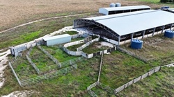 South East farm has a well-established 400 cattle feedlot for sale