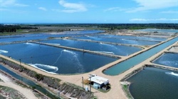 Prawn farm complete with operational infrastructure, plant and equipment