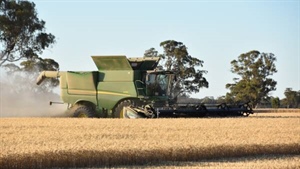 Shake-up: grain grower groups back GRDC levy slash, farmer-owned model