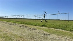 Turnkey farming operation with 3929 megs of tradeable irrigation water