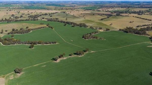 Clearview with fertile soils, production and quality improvements | Photos