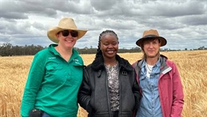 Frost tolerant genetics to play key role as damage window spreads wider