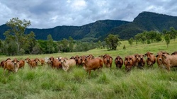 Cloudbreak a remarkable rural holding with breathtaking scenery | Video