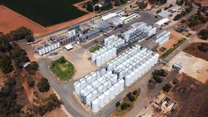 Failed Riverland wine giant back on sales market with new ideas welcomed