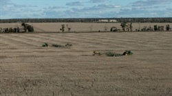 Premier irrigation, dryland cropping, grazing country to auction | Videos