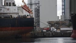 Grain producer groups remain opposed on future for wheat port access codes