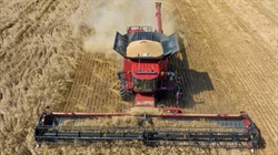 Grain markets rally on global risks, but will local prices follow suit?