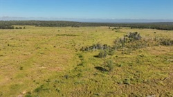 Well located, productive cattle country with potential hits the market