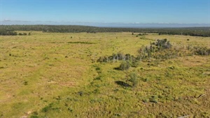 Well located, productive cattle country with potential hits the market