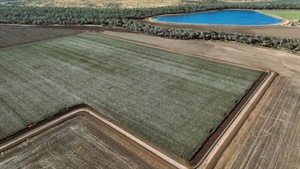 Prime irrigation, dryland farming property underpinned by secure water