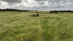 Opportunity for first-time buyers with sale of Paddy's Lakes in SA
