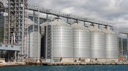 Global grain prices soar, wheat hits two-year highs amid supply chain fears