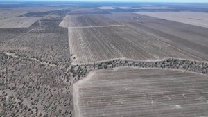 North west property with well developed farming country sold at auction