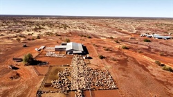 SA investor Charlie Shahin buys Jumbuck's 1.29m hectare sheep stations