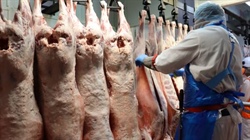 Mutton breaks new ground in real terms