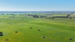 Quamby presents with fertile, arable basalt and red loam country | Photos