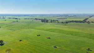 Quamby presents with fertile, arable basalt and red loam country | Photos