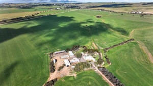 Spring's Mid North farm sales set to kick off with Eudunda auction