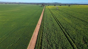 Glenelg well recognised as a premium cropping property | Photos
