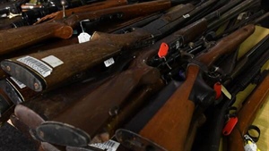 ACT signs on to federal firearms buyback scheme, joining NSW government