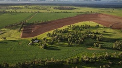 Well presented Whitefield delivers farming and grazing excellence | Video