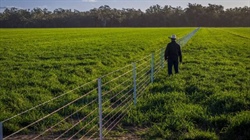 Premium river country featuring rich alluvial and red loam soils | Video