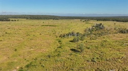 Productive 11,000 acre cattle country property sold at strong auction