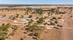 Extensively developed, ready-to-go operation sold at auction | Video