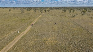 Significant investment in fencing, water, livestock-handling infrastructure