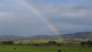 Surprise El Nino year rain helps farmers weather a record input cost storm
