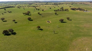 Sunbury a highly productive dryland cropping, livestock enterprise | Photos