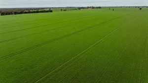 Productive farming, grazing property with excellent water security | Video