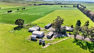 SA farm auction stands out with $1.25 million price reveal