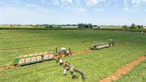 Why the world's biggest food producers aren't always the biggest suppliers