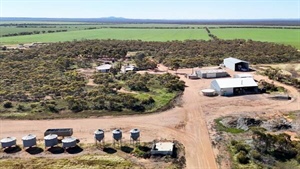 Farm sales hit record low as price expectations clash