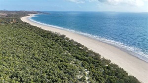 Productive cattle country with amazing 2.8km of pristine beach frontage