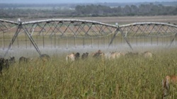 Highly developed, integrated agricultural powerhouse sold | Video
